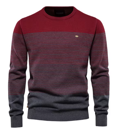 Maglione da uomo alla moda